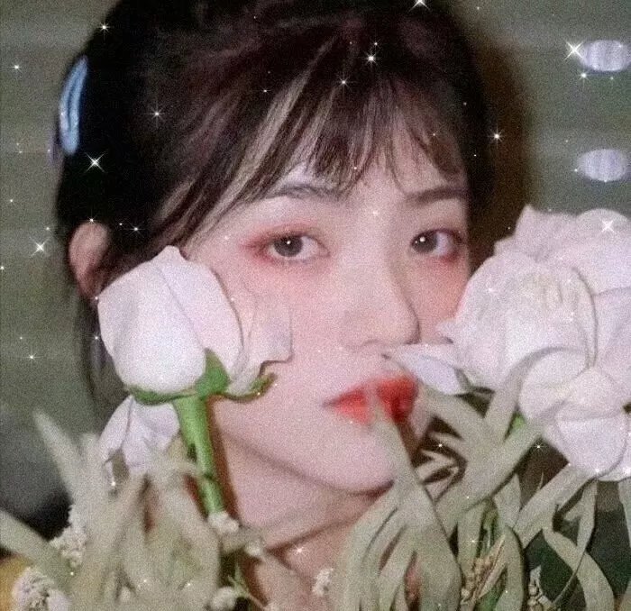 婚戒物语第二季