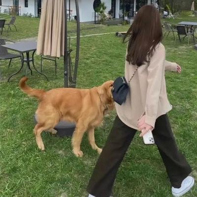 老虎与妙贼